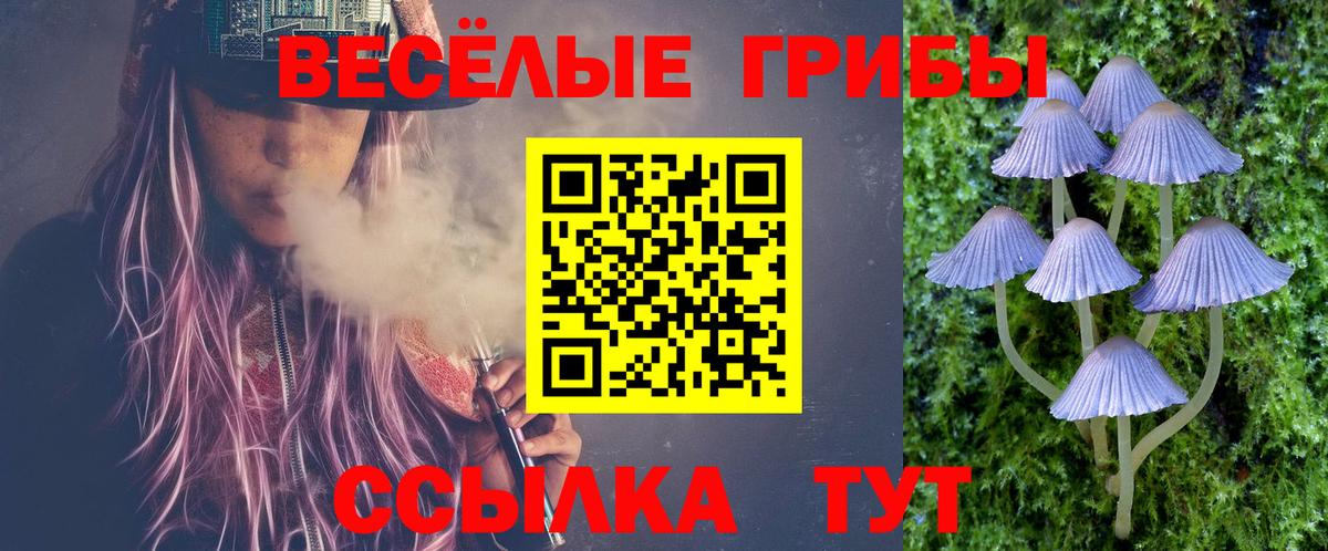 Псилоцибиновые грибы MAGIC MUSHROOMS Красноармейск