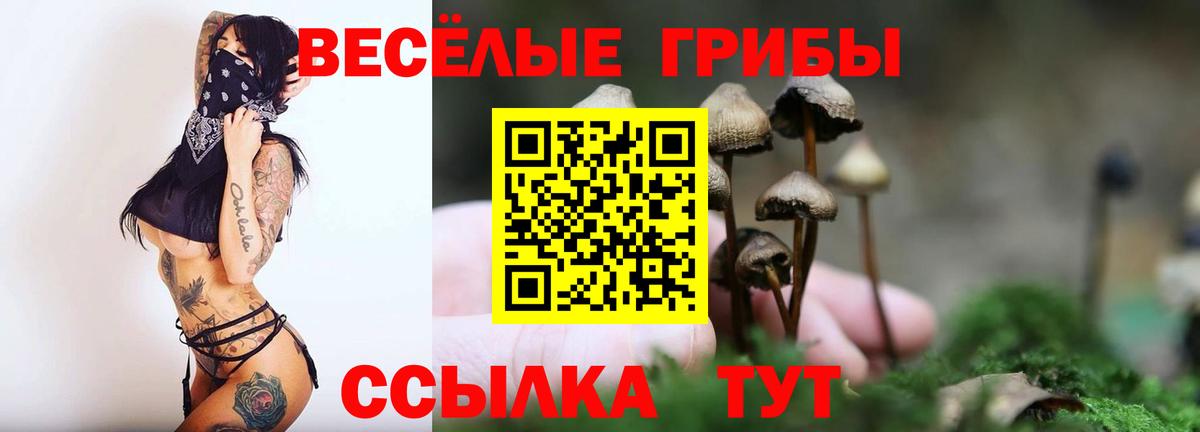 Галлюциногенные грибы Psilocybine cubensis  Вход с VPN  Красноармейск  Псилоцибиновые грибы GOLDEN TEACHER 